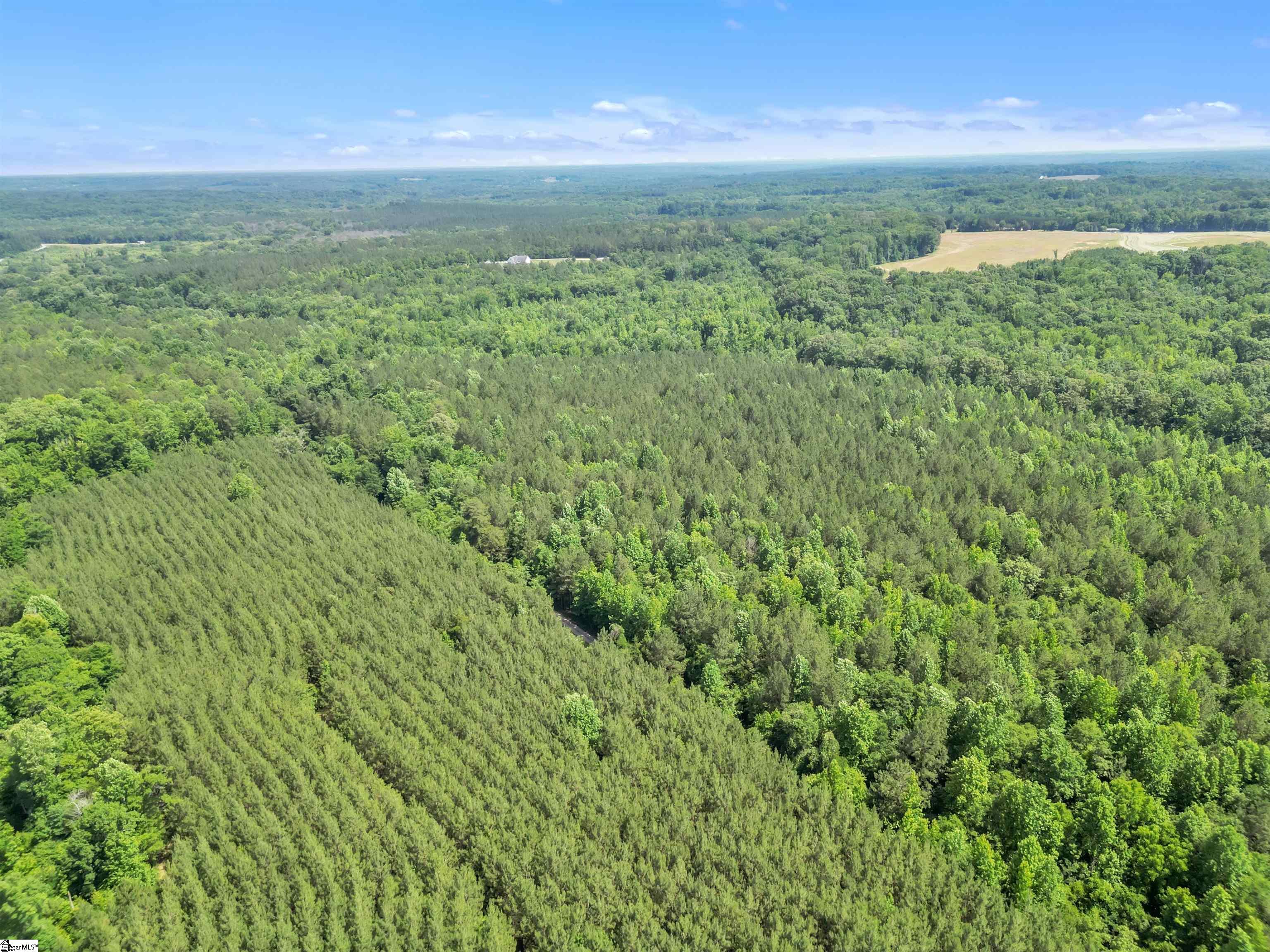 0 Simpson Mill Road Laurens, SC 29360 - Photo 16 of 20