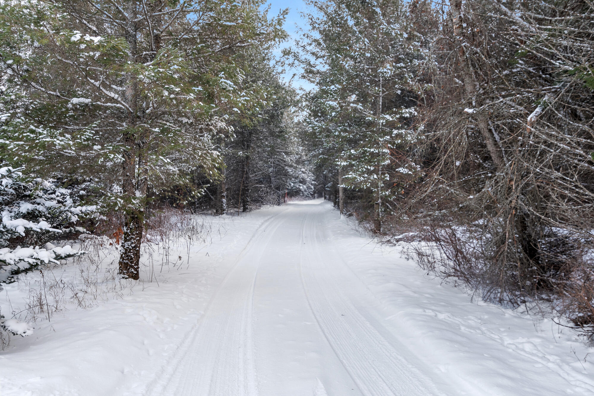 7715 Woods Homestead Road Wolverine, MI 49799 - Photo 19 of 24 Gallery Image 19