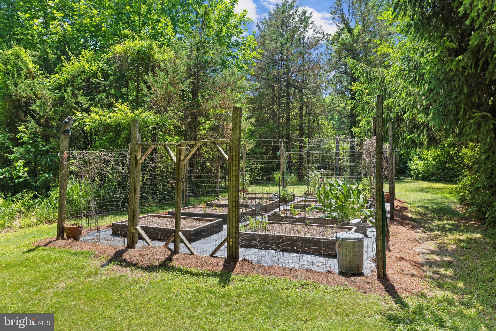 11708 Chapman Road Kingsville, MD 21087 - Photo 51 of 68 Vegetable Garden