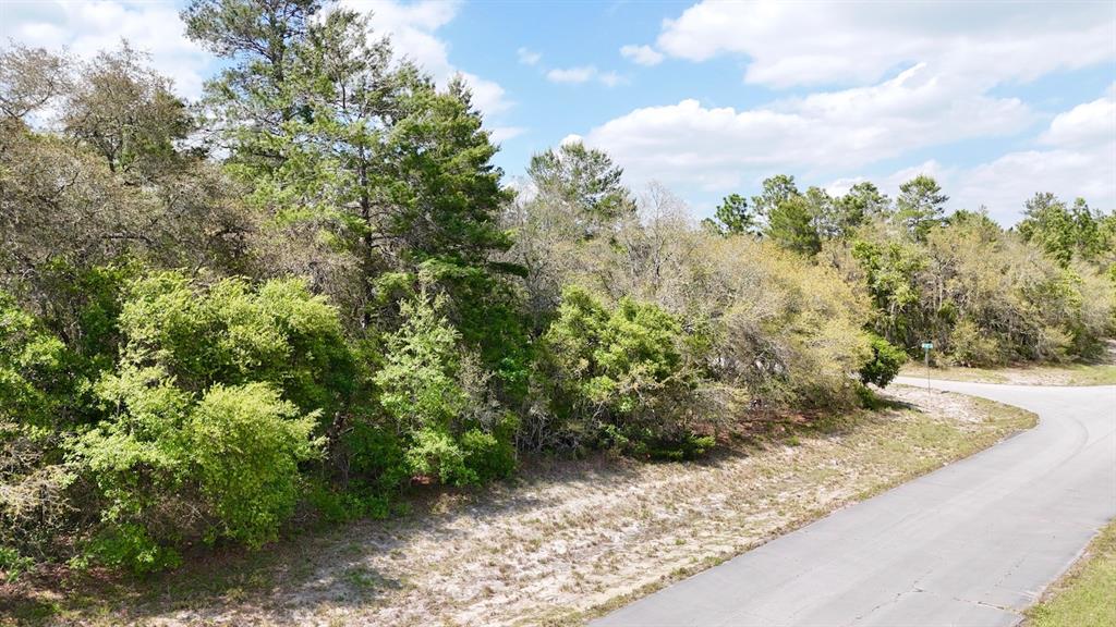 Tbd Tbd 145th Place Southwest Ocala, FL 34473 - Photo 1 of 1 a view of a backyard of the house