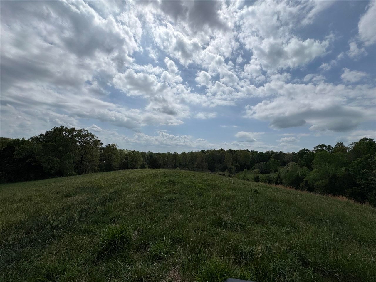 577 Bratcher Road Morgantown, KY 42261 - Photo 13 of 15 Gallery Image 13