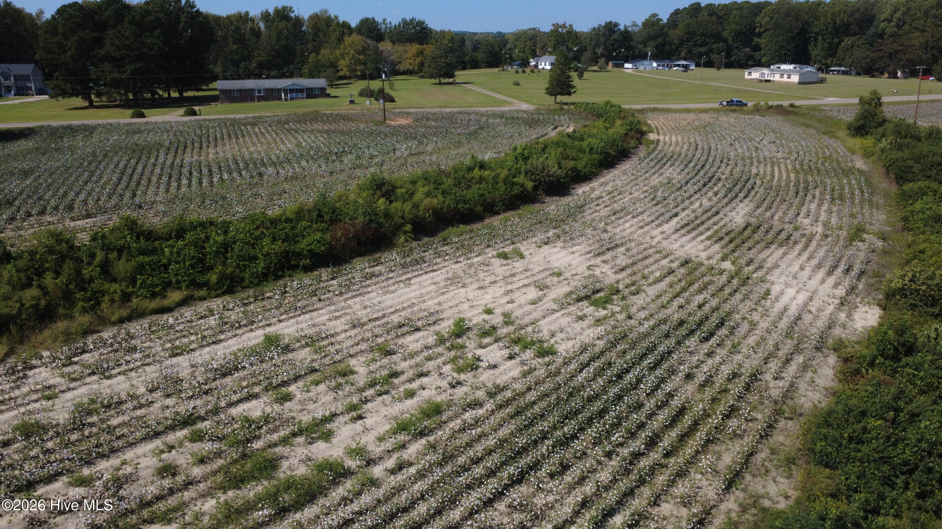 0 Ward Road Whitakers, NC 27891 - Photo 14 of 27 DJI_0510