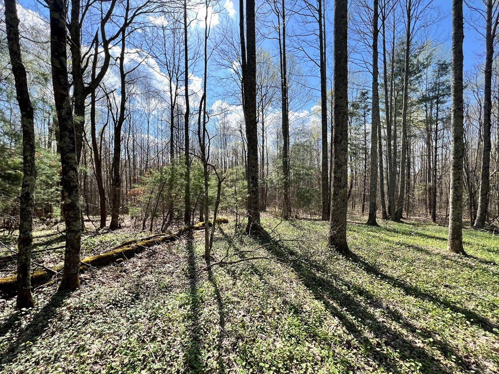 Tbd Tbd Little Bit Road, Unit 8 Hillsville, VA 24343 - Photo 4 of 5 Gallery Image 4