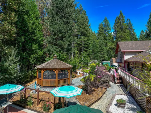a small garden covered with tall trees