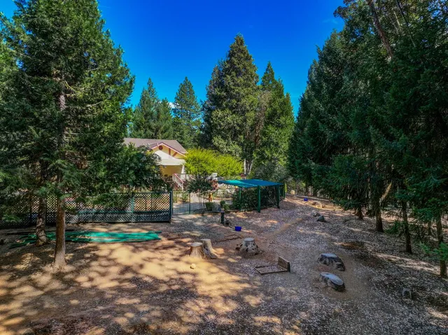 a view of a wooden house with a yard and potted plants