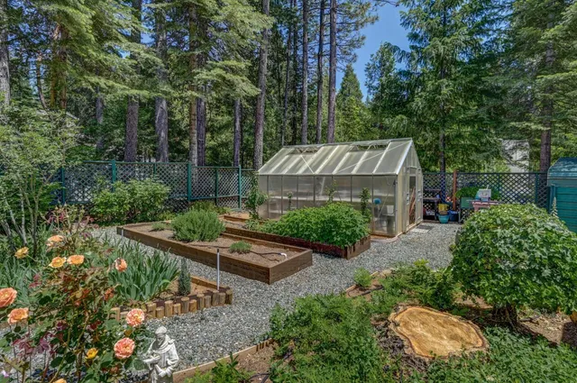 a living room with furniture a window and a chandelier