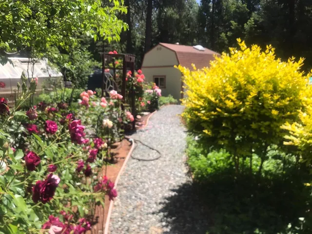 a view of a chair and tables in the patio