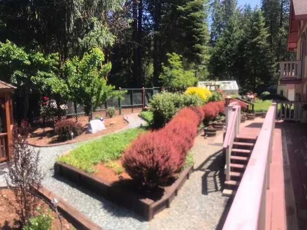 $575,000 | 25985 Forest Knoll Court, Pioneer, CA 95666