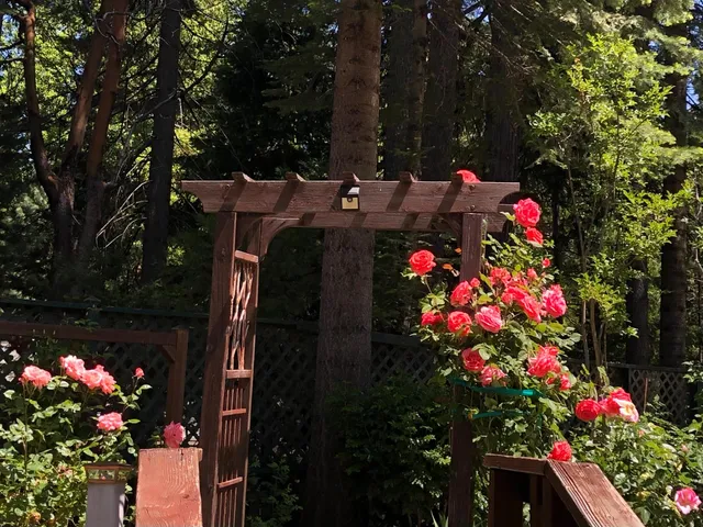 $575,000 | 25985 Forest Knoll Court, Pioneer, CA 95666