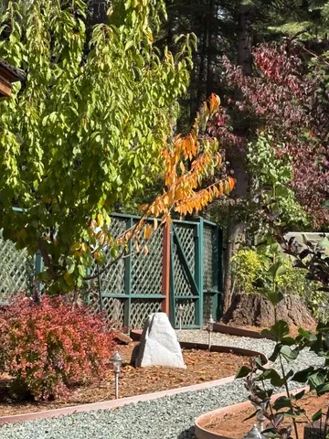 $575,000 | 25985 Forest Knoll Court, Pioneer, CA 95666