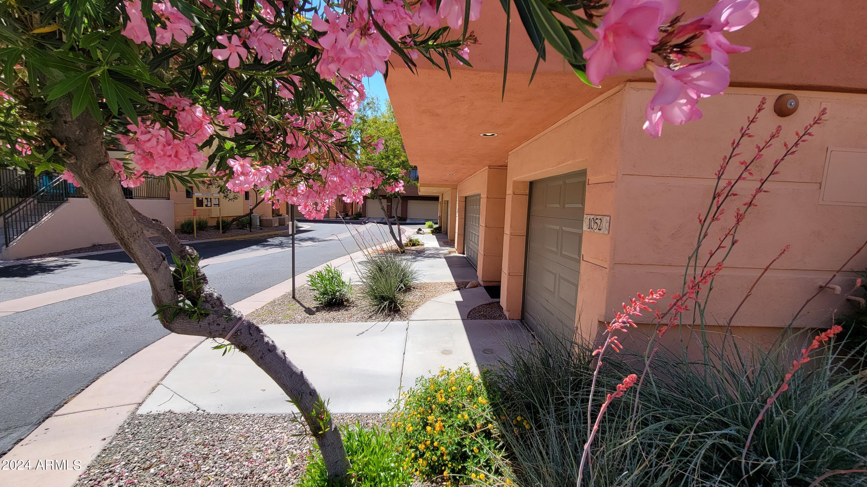 9551 East Redfield Road, Unit 1020 Scottsdale, AZ 85260 - Photo 1 of 38 Entering Redfield Park