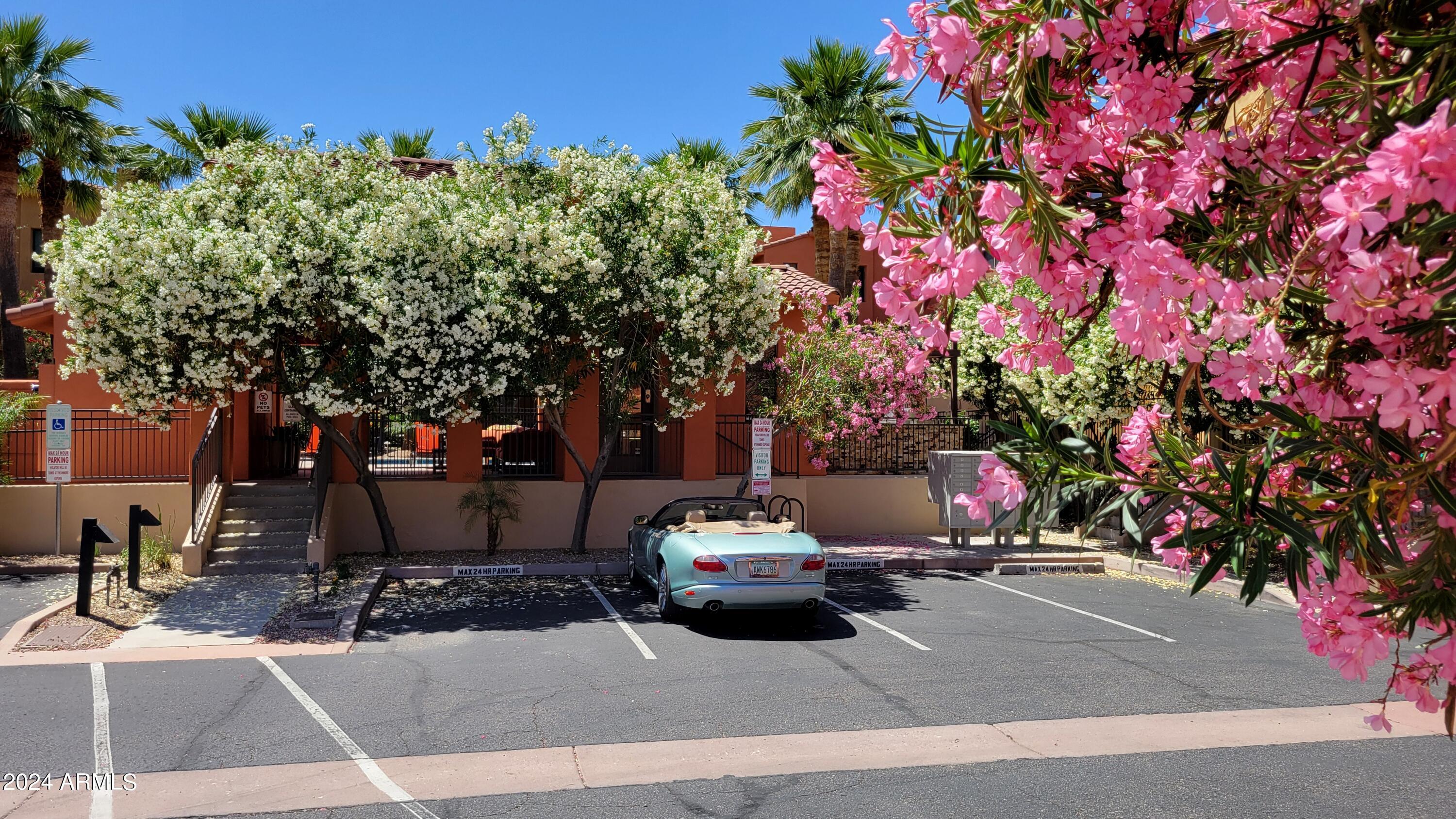 9551 East Redfield Road, Unit 1020 Scottsdale, AZ 85260 - Photo 20 of 38 View towards the Pool and Gym