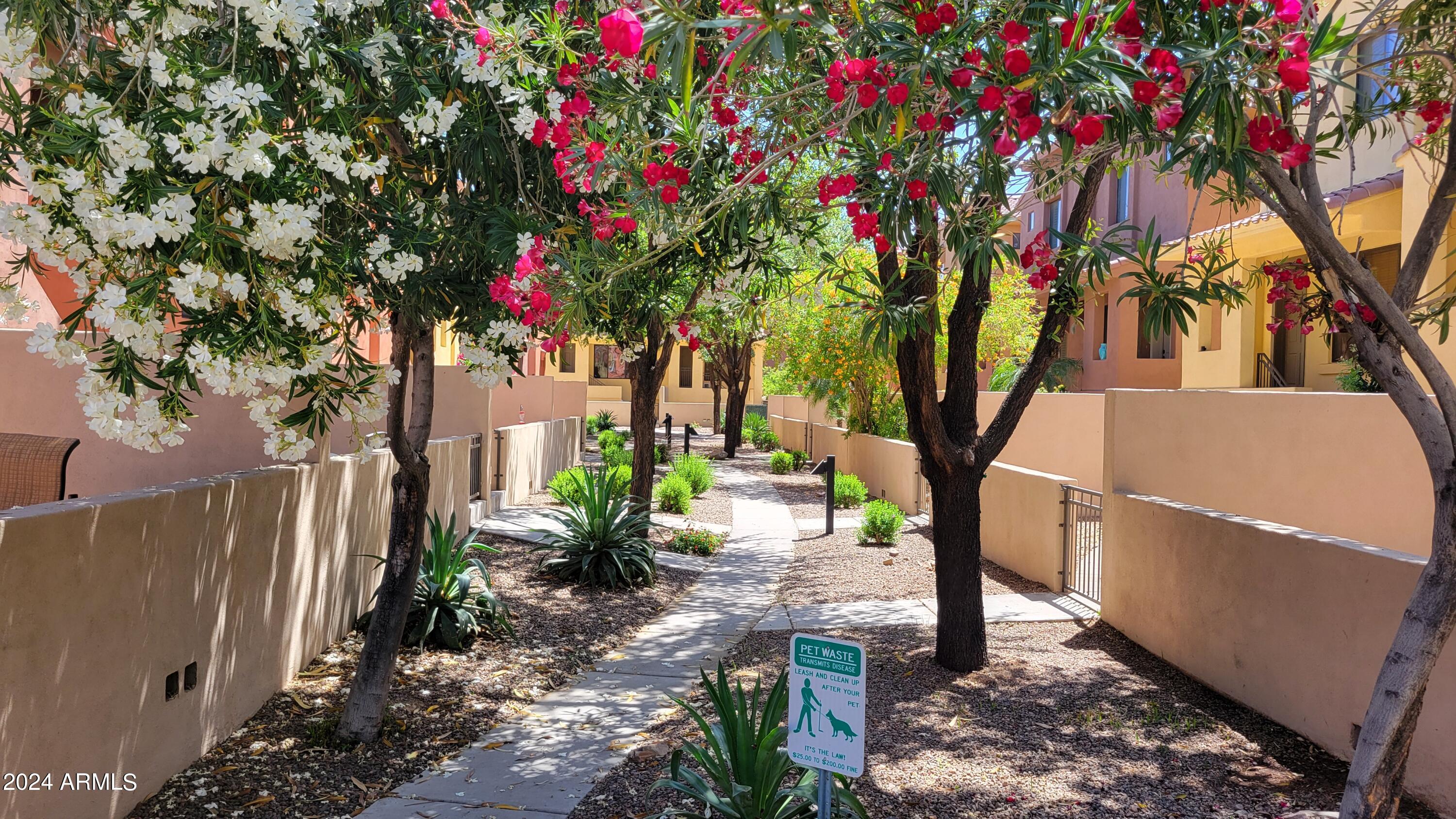 9551 East Redfield Road, Unit 1020 Scottsdale, AZ 85260 - Photo 23 of 38 Community Walkways