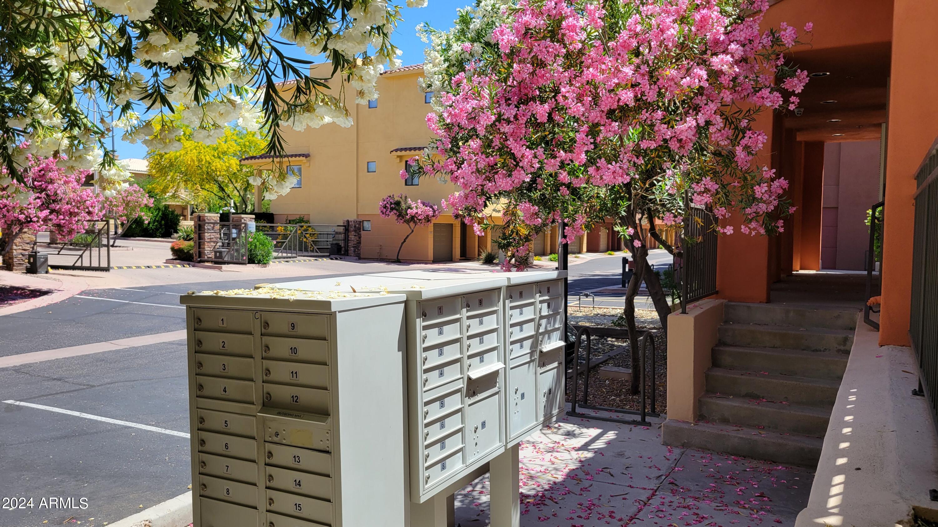 9551 East Redfield Road, Unit 1020 Scottsdale, AZ 85260 - Photo 25 of 38 MailBox Near the Pool & Gym