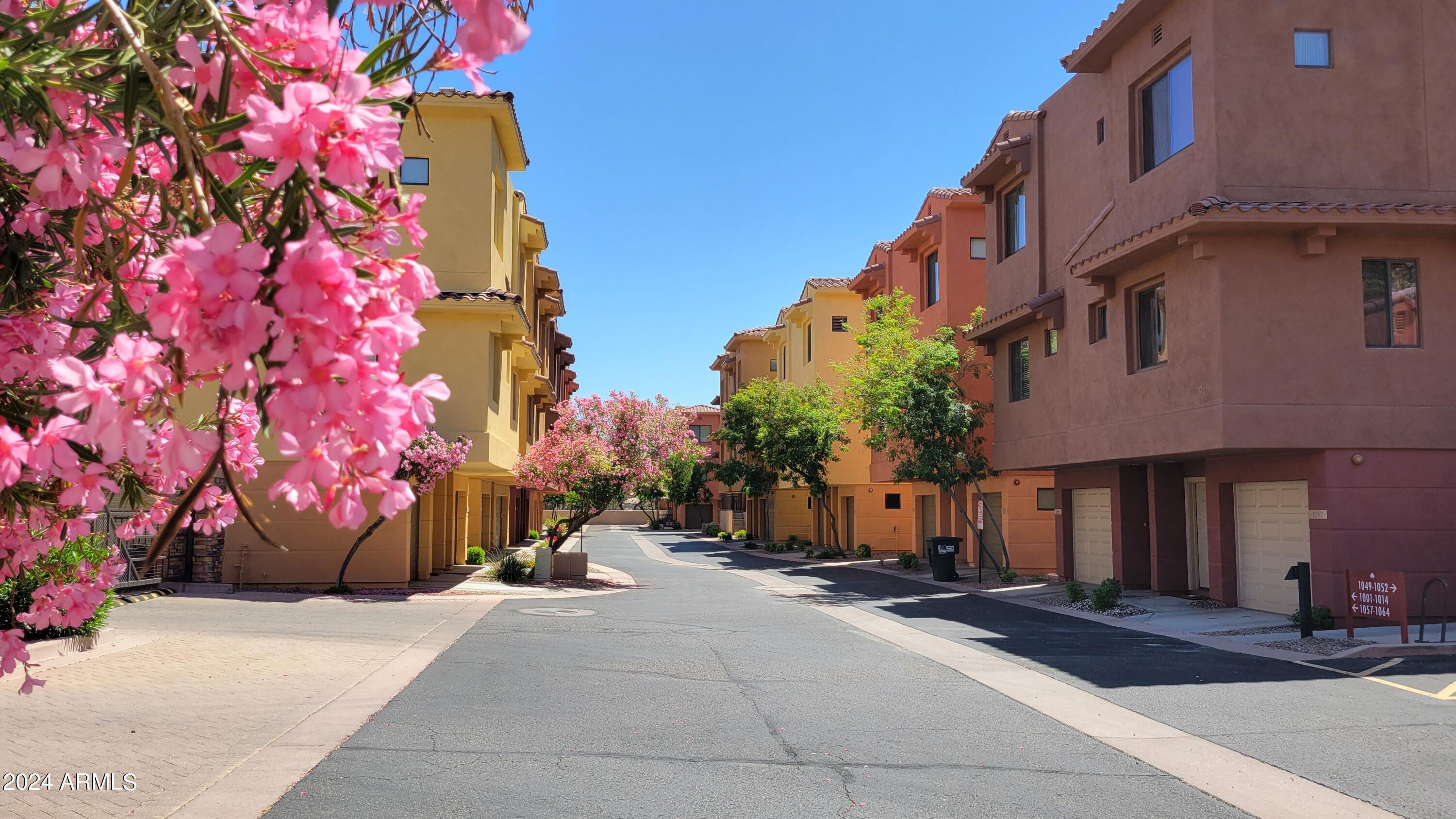 9551 East Redfield Road, Unit 1020 Scottsdale, AZ 85260 - Photo 27 of 38 Community Views