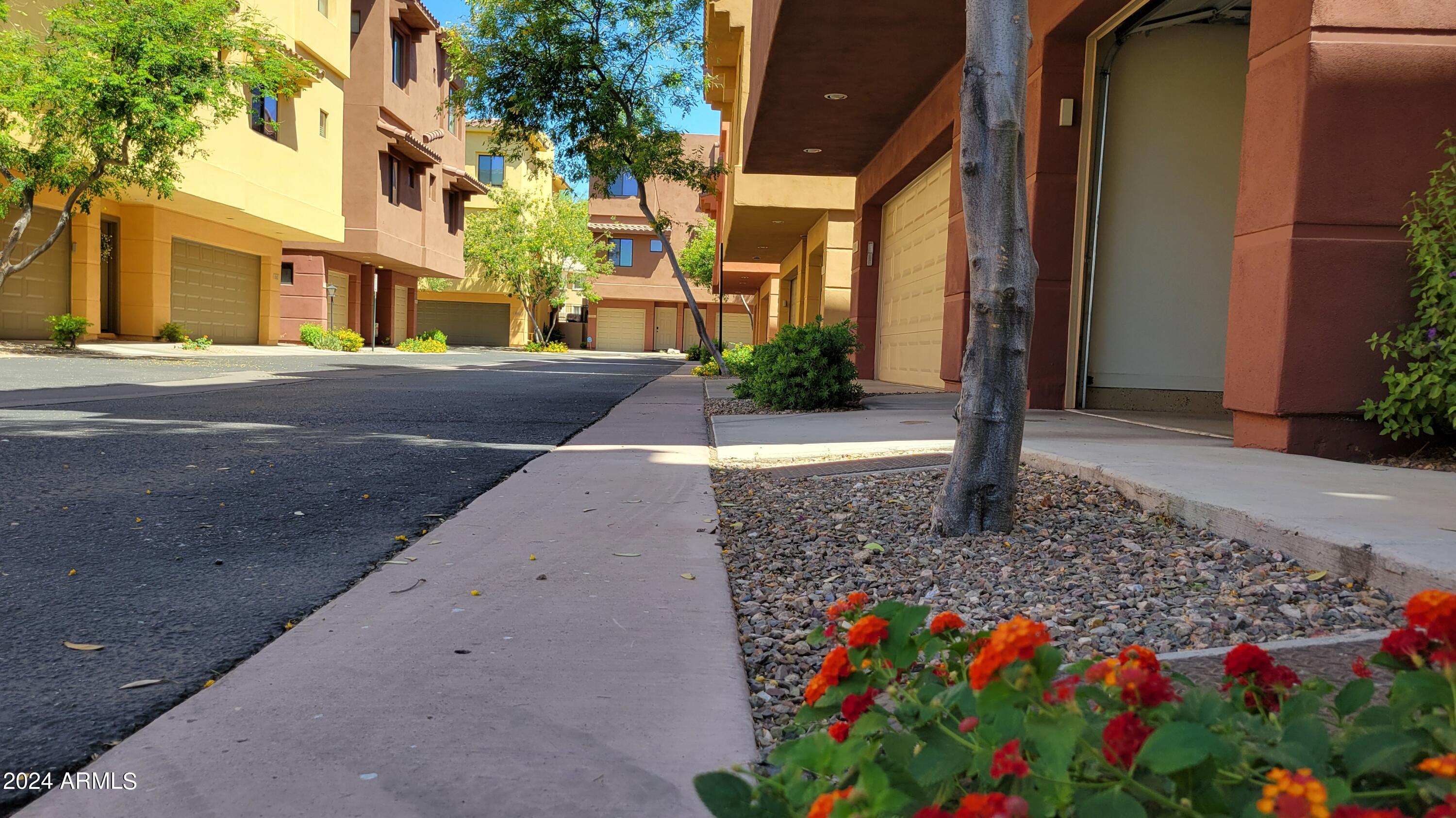 9551 East Redfield Road, Unit 1020 Scottsdale, AZ 85260 - Photo 9 of 38 Very Clean and Colorful Community