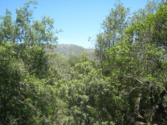 4853 Lookout Road Santa Barbara, CA 93105 - Photo 18 of 33 View from Living Room