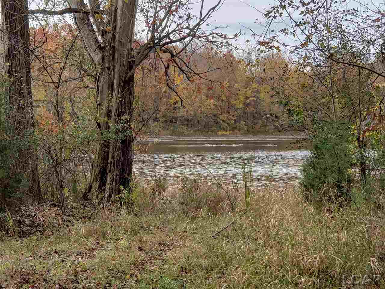 12890 Mull Road Tipton, MI 49287 - Photo 10 of 12