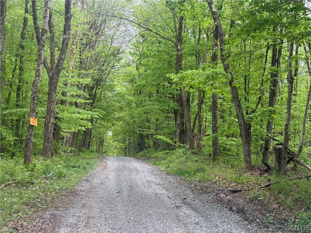 Lot #9 Lost Ridge Road, Unit 9 Camden, NY 13316 - Photo 18 of 27