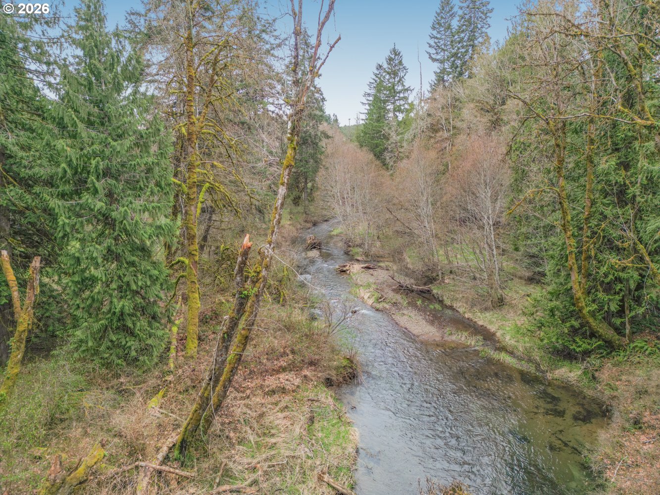 27810 Northwest Timber Road Timber, OR 97144 - Photo 4 of 42