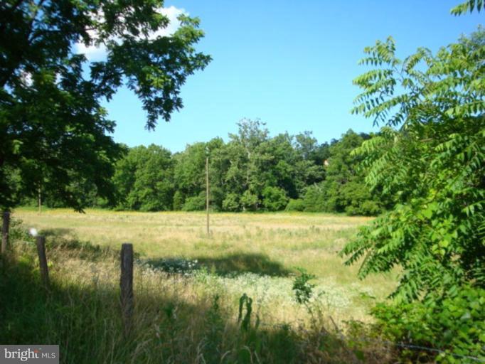 1958 Star Tannery Road Star Tannery, VA 22654 - Photo 2 of 7 Pasture