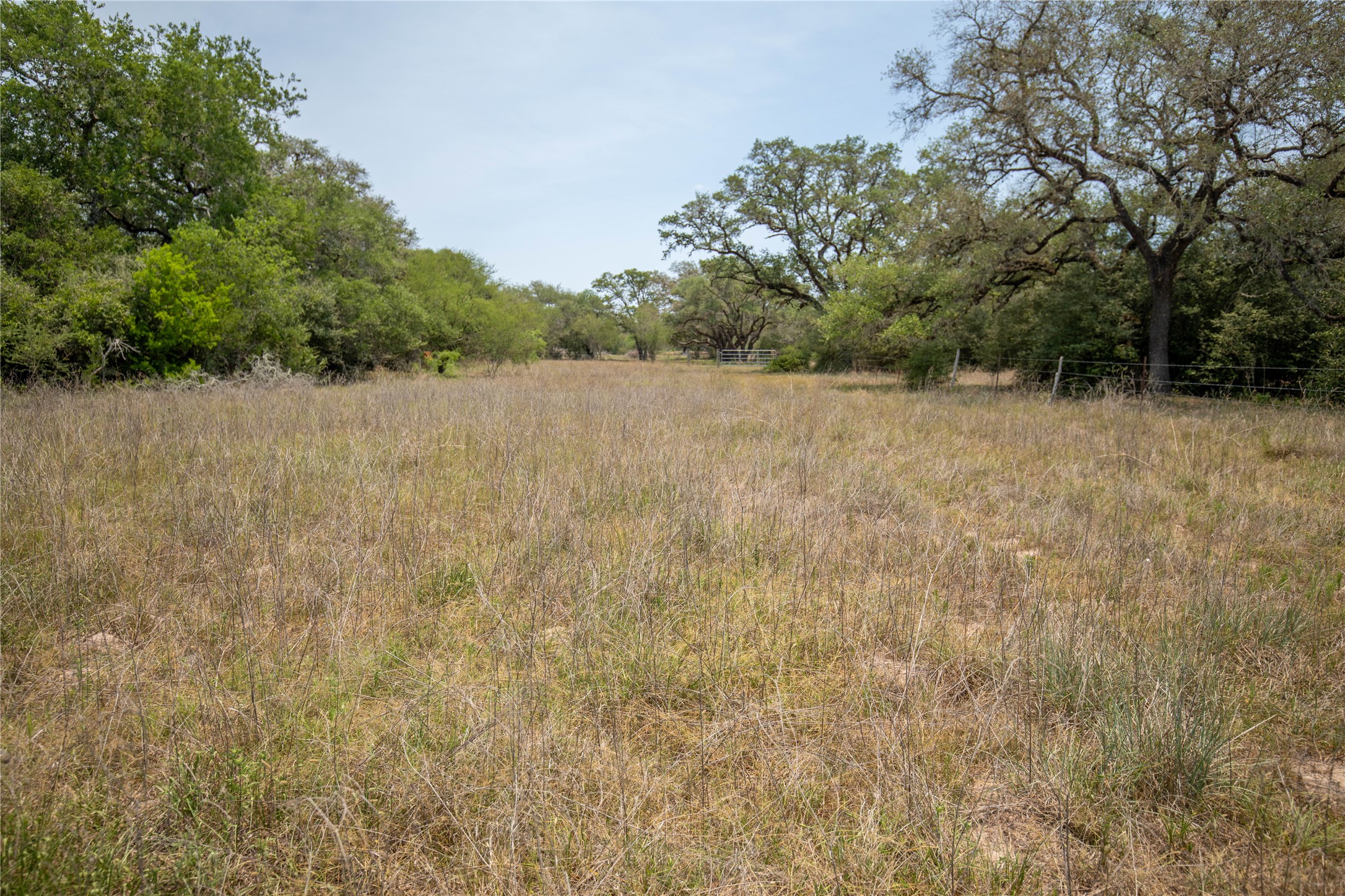 0 Green Dewitt Road Cuero, TX 77954 - Photo 23 of 40