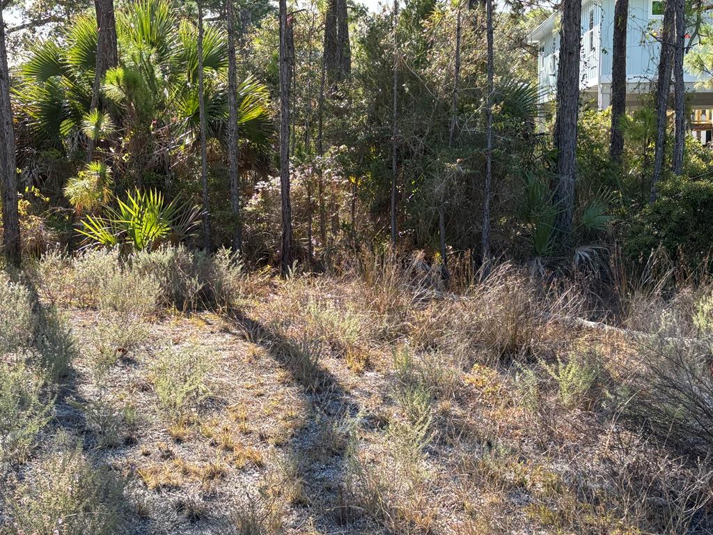 1012 Porter Street St. George Island, FL 32328 - Photo 8 of 22