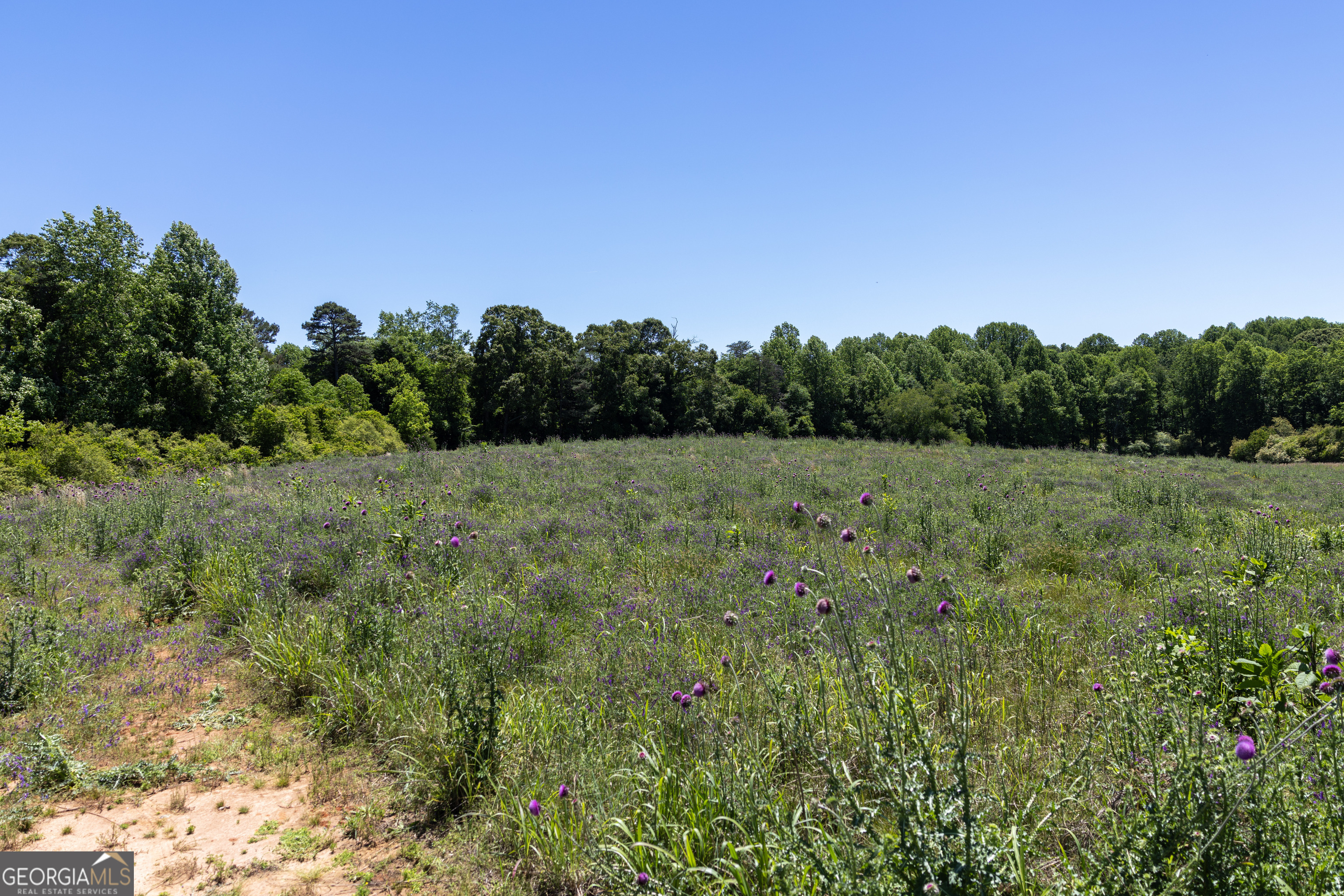 3600 Pea Ridge Road Cornelia, GA 30531 - Photo 11 of 11 a view of a field with trees in the background