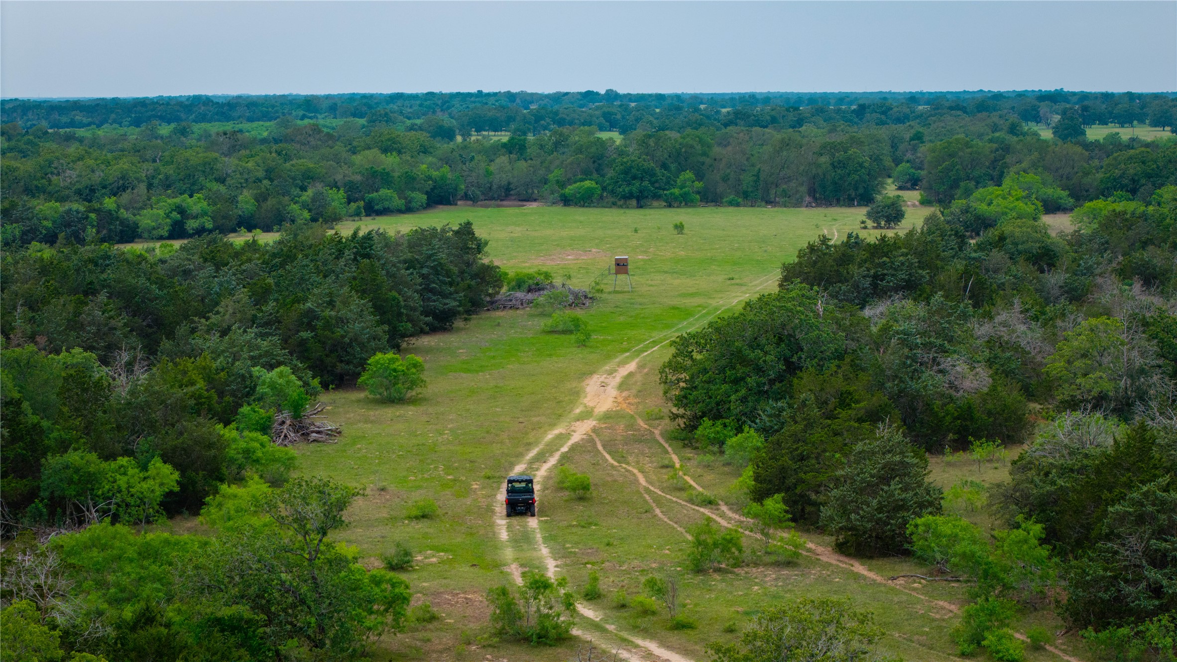 Tbd(2 Walter Hoffman Road Cedar Creek, TX 78612 - Photo 14 of 28 a view of a park with large trees