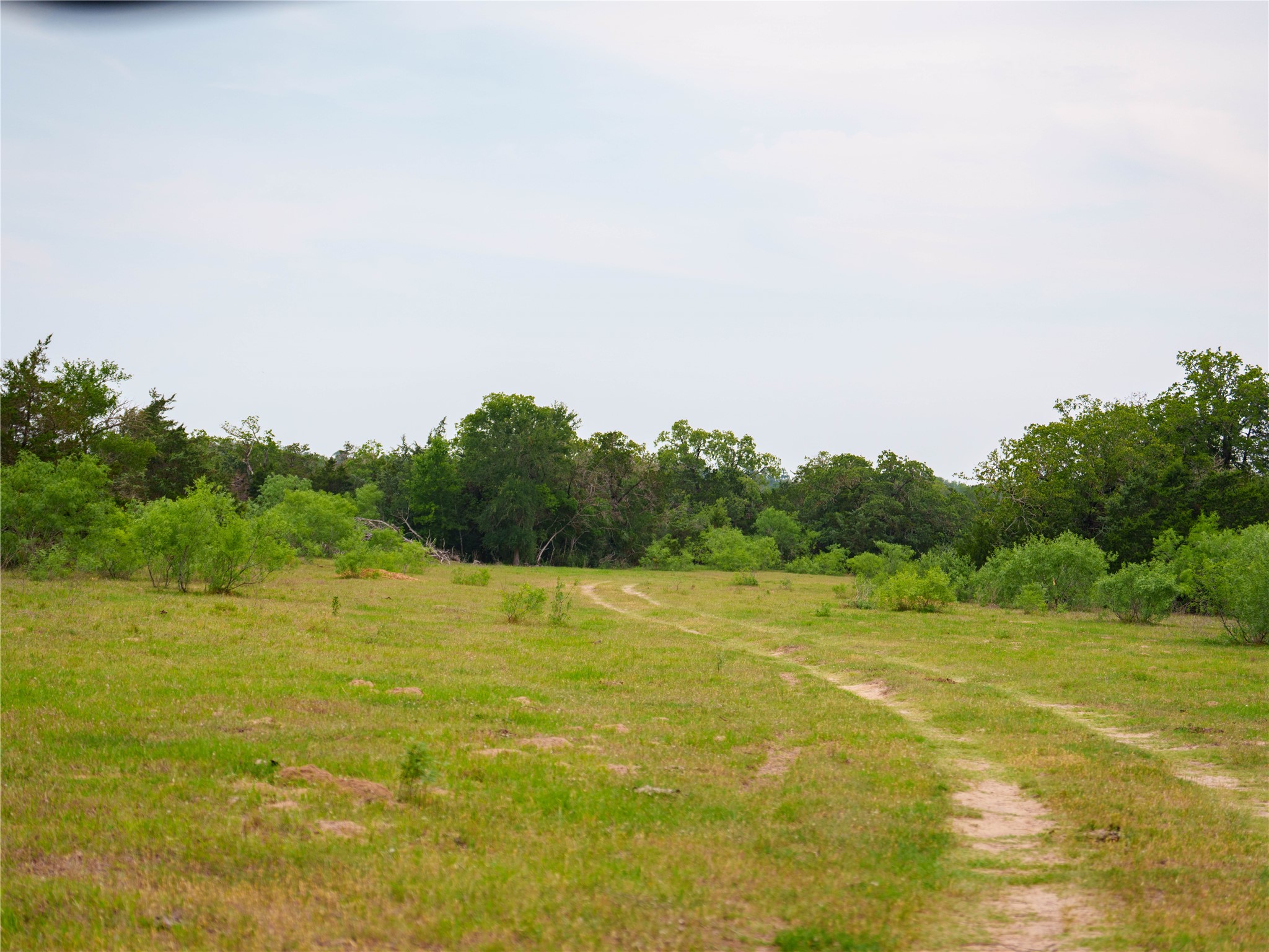 Tbd(2 Walter Hoffman Road Cedar Creek, TX 78612 - Photo 16 of 28 a view of an ocean