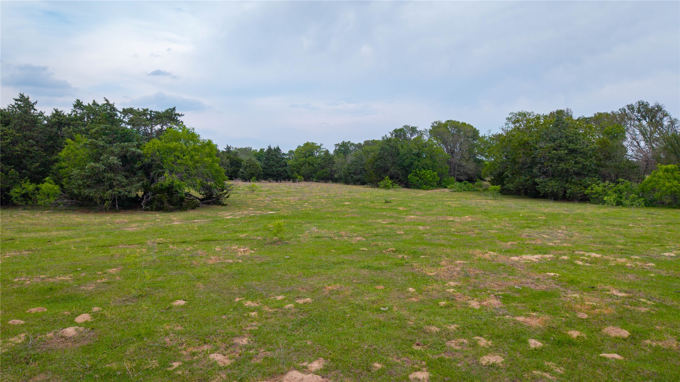 Tbd(2 Walter Hoffman Road Cedar Creek, TX 78612 - Photo 17 of 28 a view of a field with an trees in the background