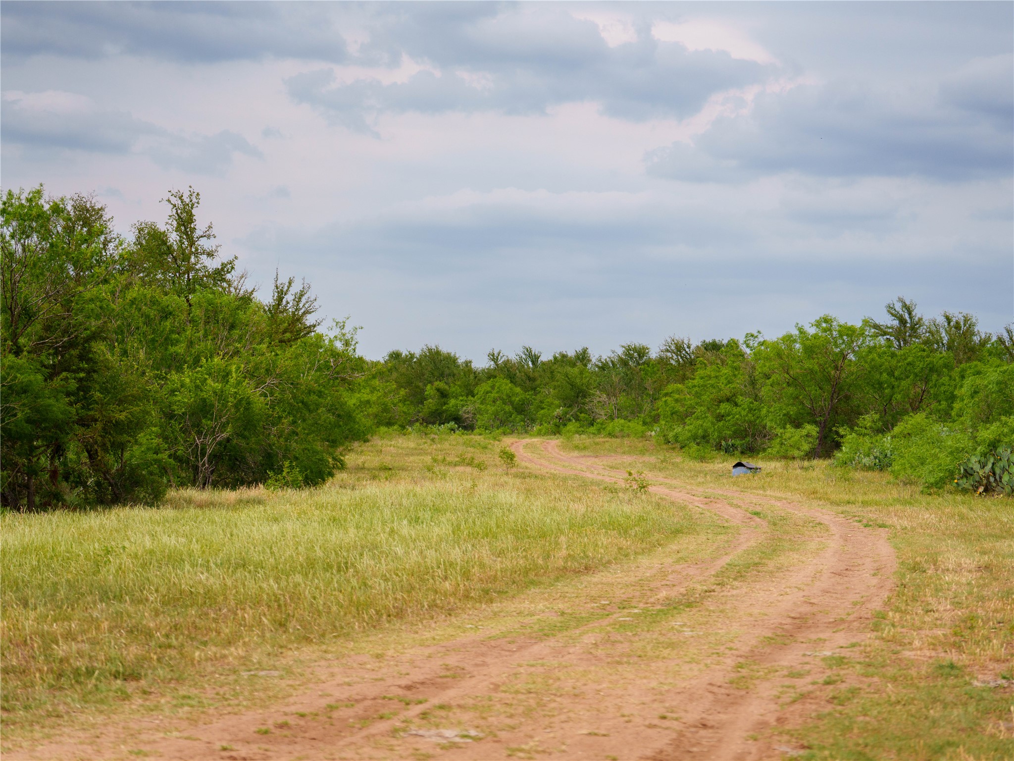 Tbd(2 Walter Hoffman Road Cedar Creek, TX 78612 - Photo 19 of 28 a view of a yard with an ocean
