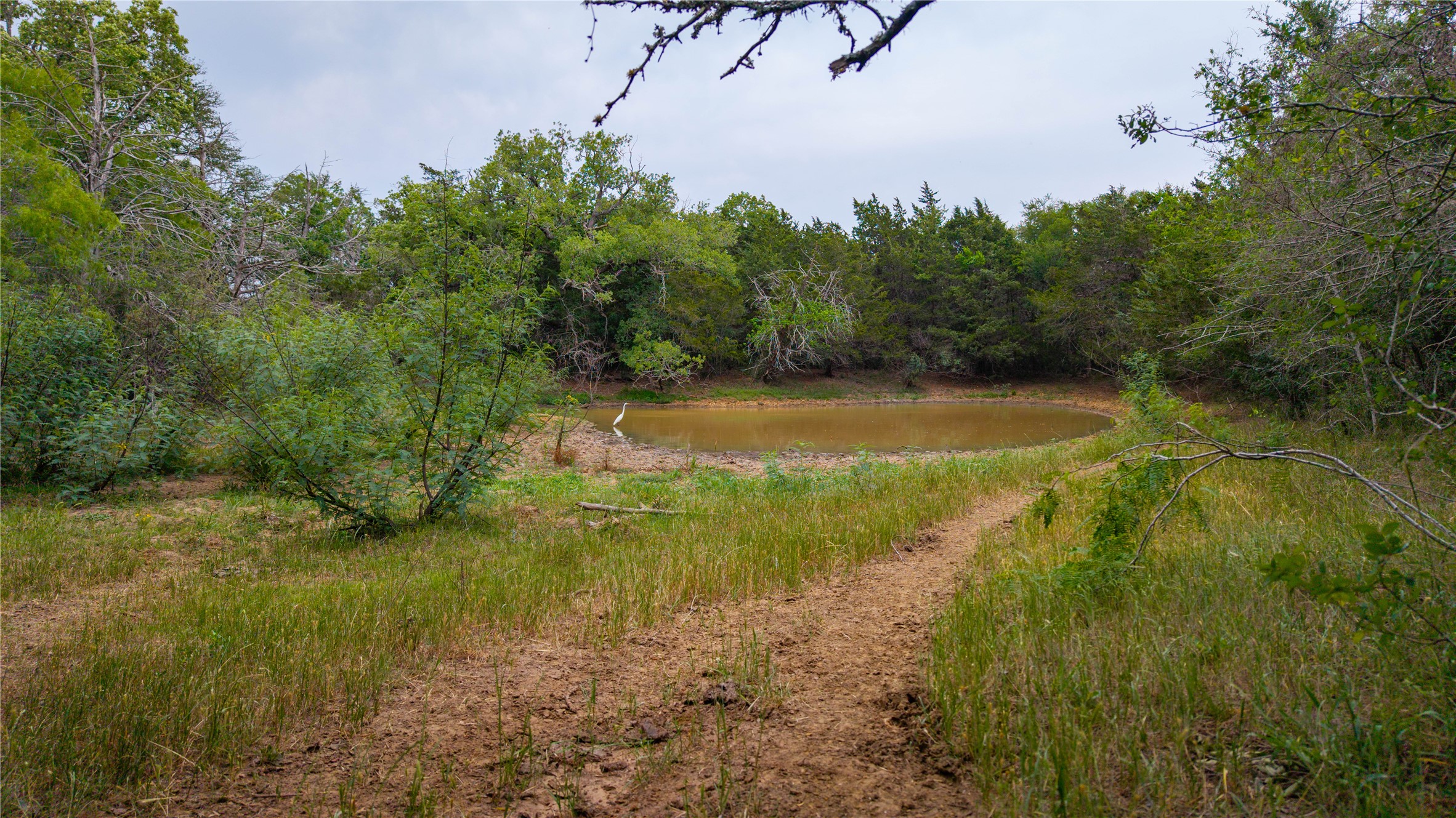 Tbd(2 Walter Hoffman Road Cedar Creek, TX 78612 - Photo 20 of 28 a view of a lake