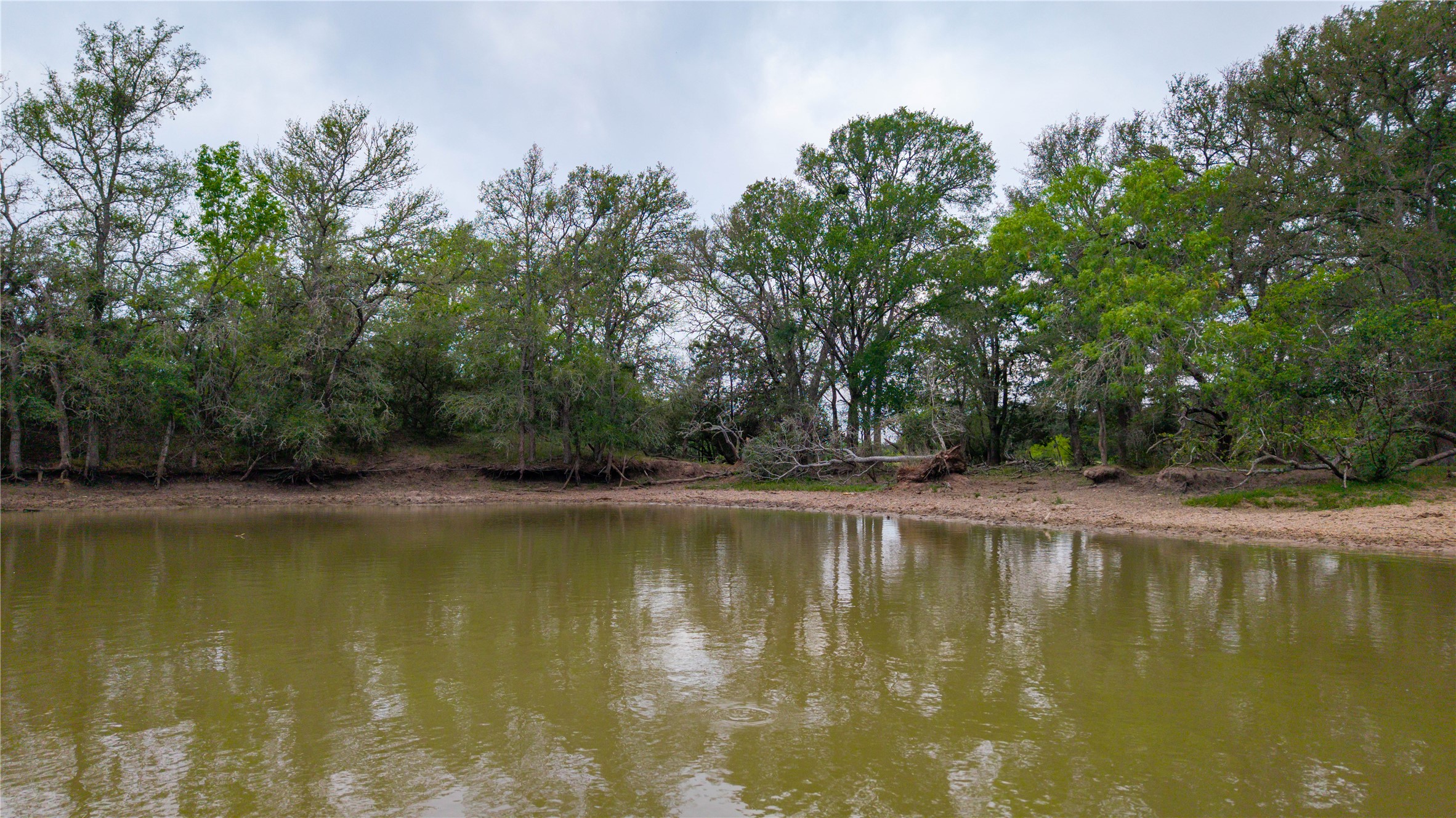 Tbd(2 Walter Hoffman Road Cedar Creek, TX 78612 - Photo 21 of 28 a view of a swimming pool with a yard