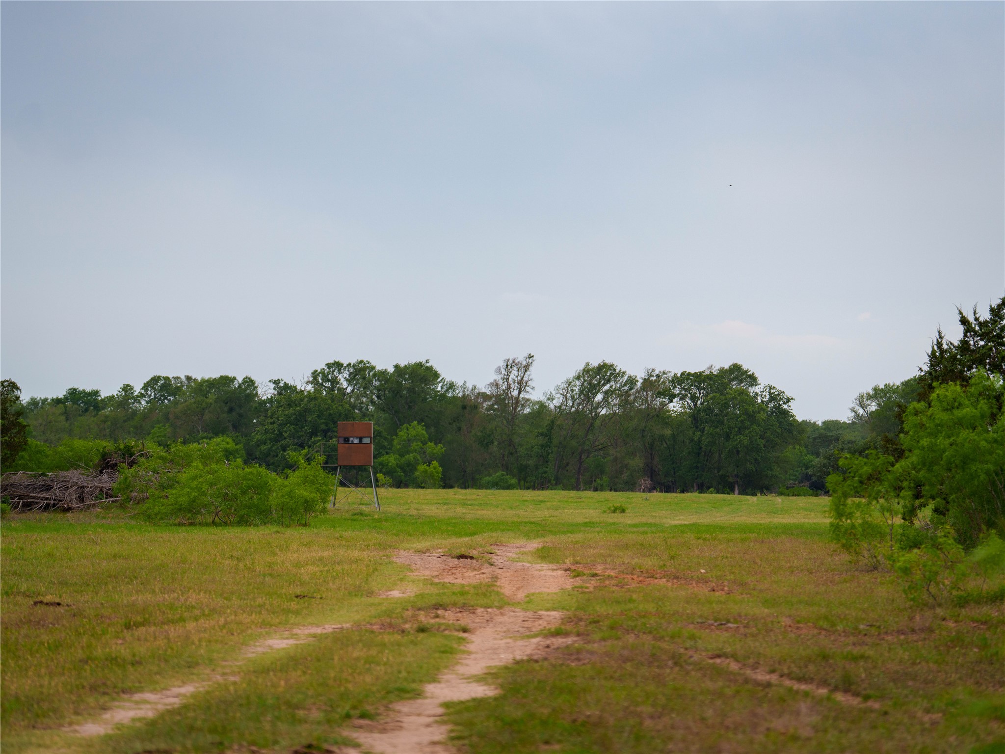 Tbd(2 Walter Hoffman Road Cedar Creek, TX 78612 - Photo 23 of 28 a view of a field with trees in the background