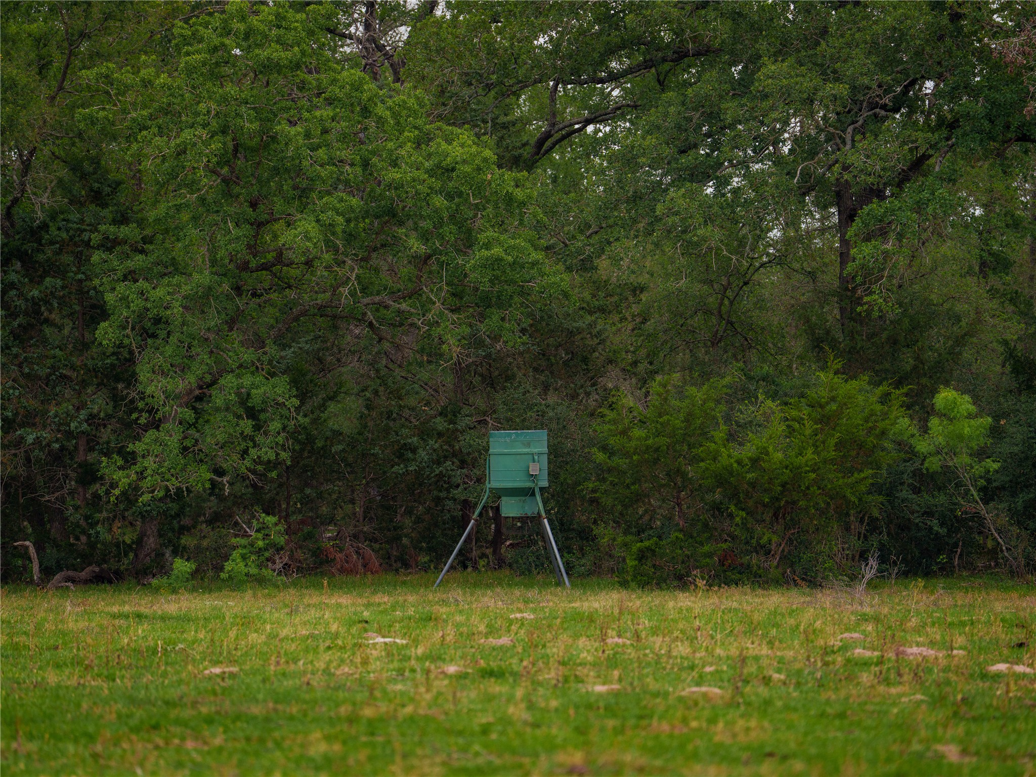 Tbd(2 Walter Hoffman Road Cedar Creek, TX 78612 - Photo 24 of 28 a view of a tennis court