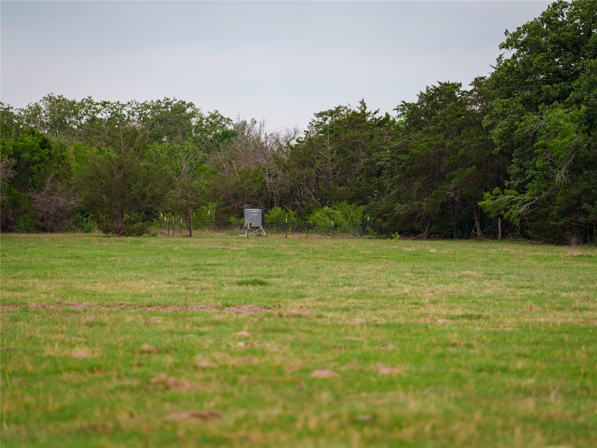Tbd(2 Walter Hoffman Road Cedar Creek, TX 78612 - Photo 26 of 28 a backyard of a house with lots of green space