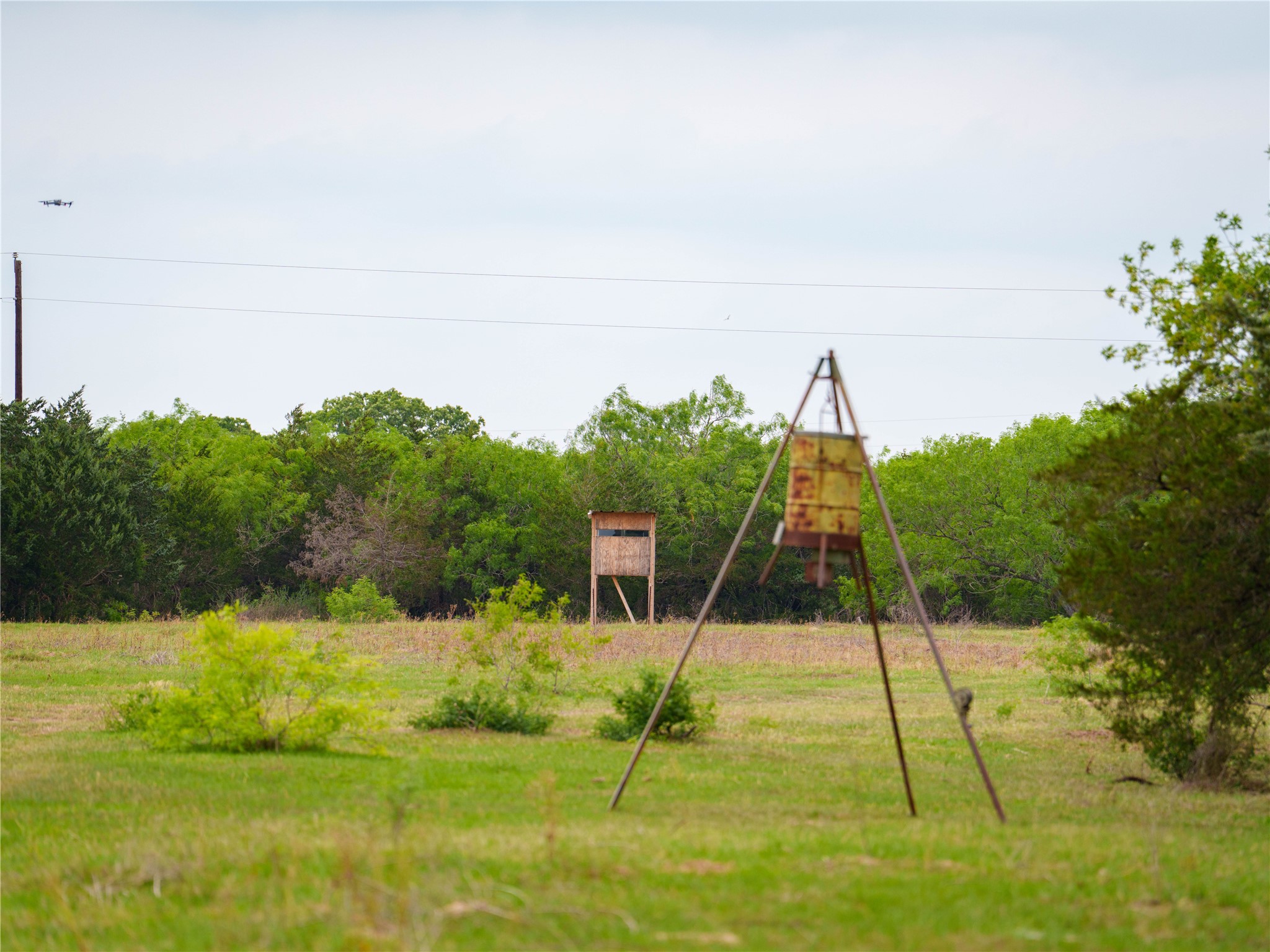 Tbd(2 Walter Hoffman Road Cedar Creek, TX 78612 - Photo 27 of 28 a view of a yard