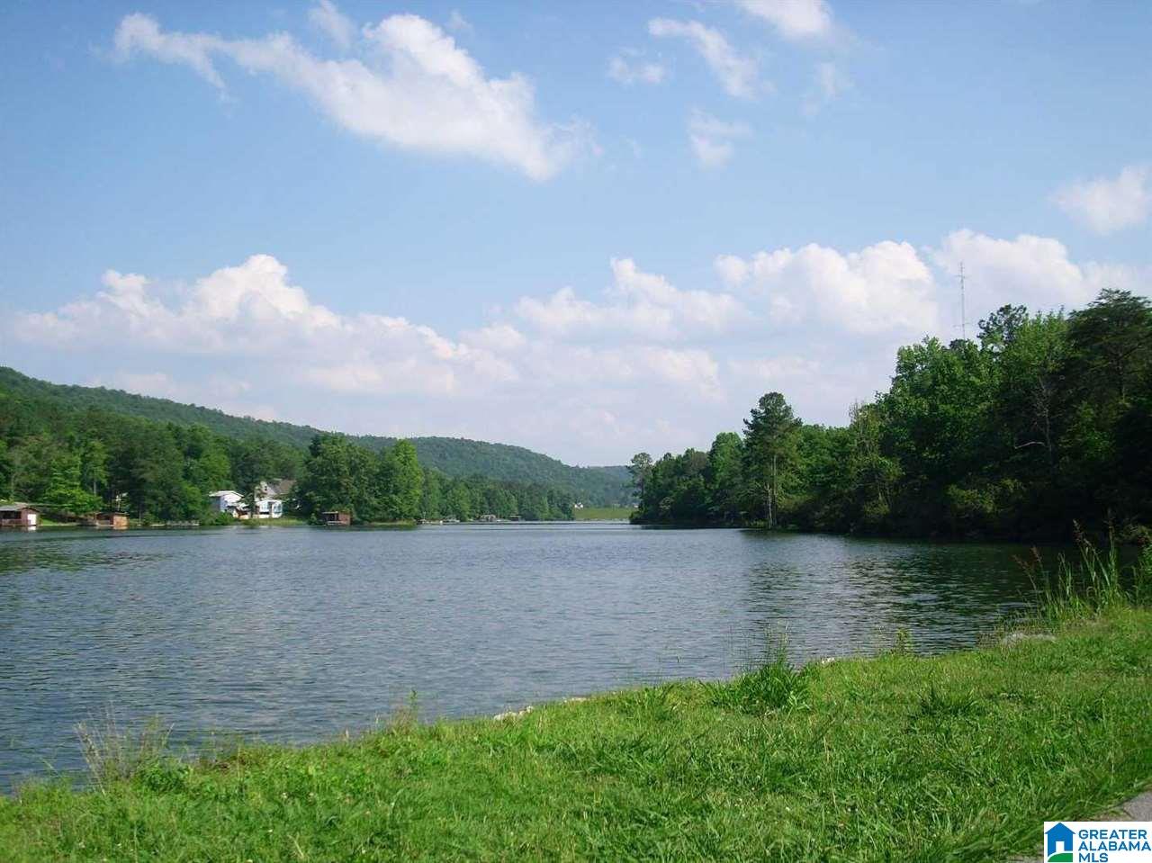 9071 Jade Lake Road East Remlap, AL 35133 - Photo 19 of 20