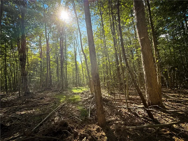 $189,900 | Hollister Road, Ithaca, NY 14850