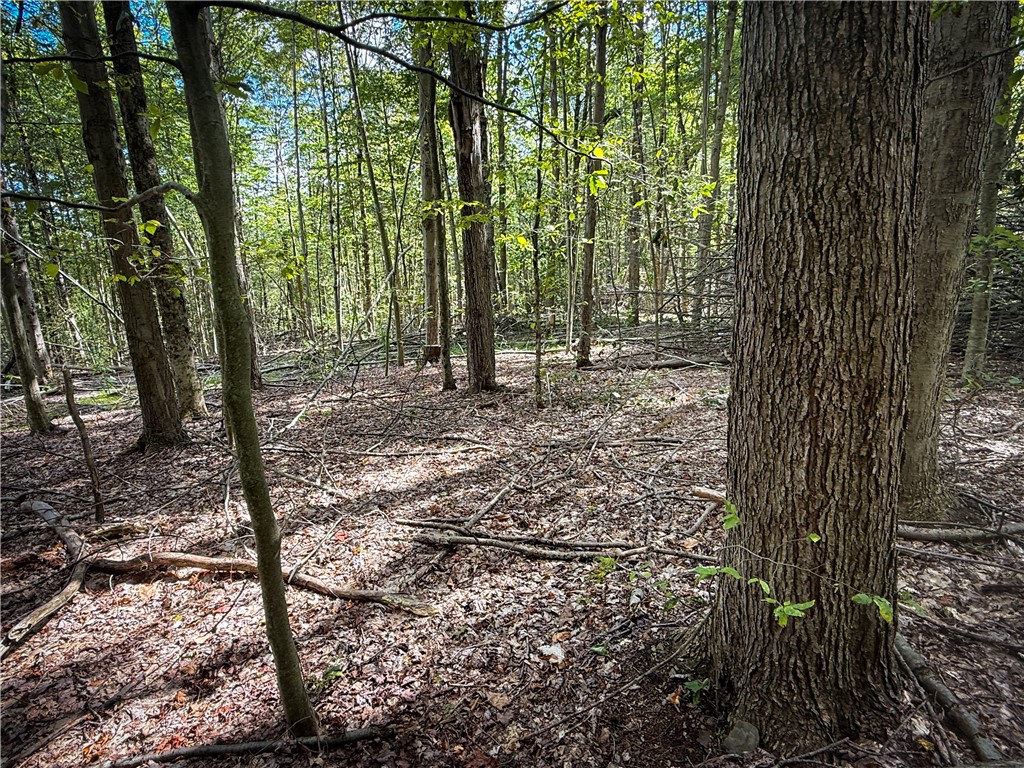 Hollister Road Ithaca, NY 14850 - Photo 12 of 23