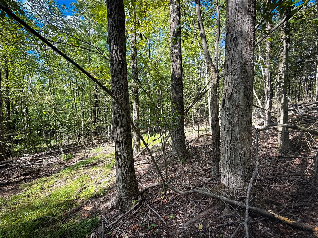 Hollister Road Ithaca, NY 14850 - Photo 13 of 23