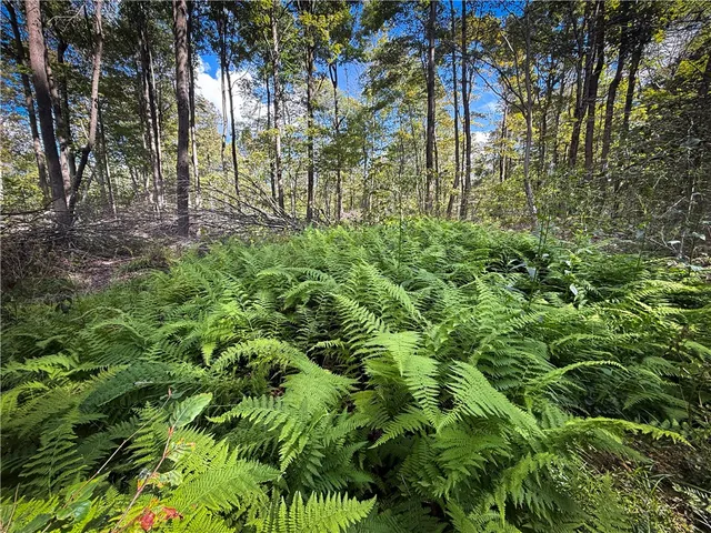 $189,900 | Hollister Road, Ithaca, NY 14850