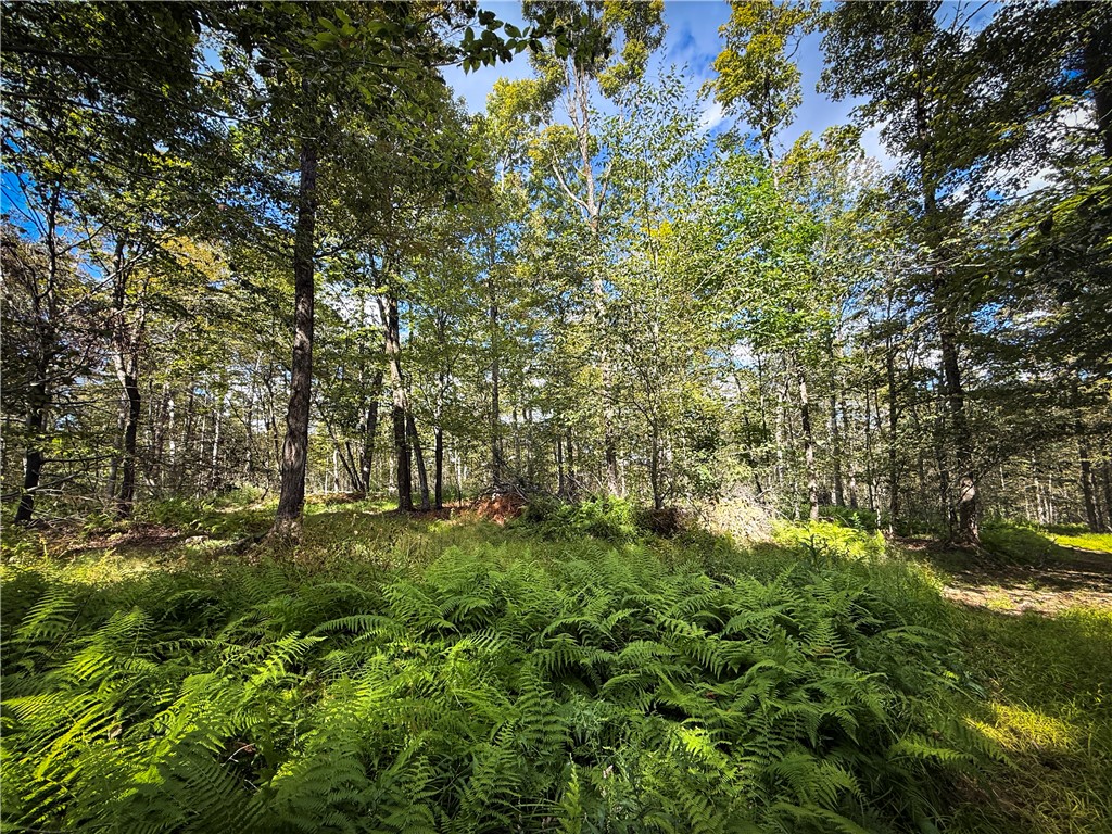 Hollister Road Ithaca, NY 14850 - Photo 16 of 23