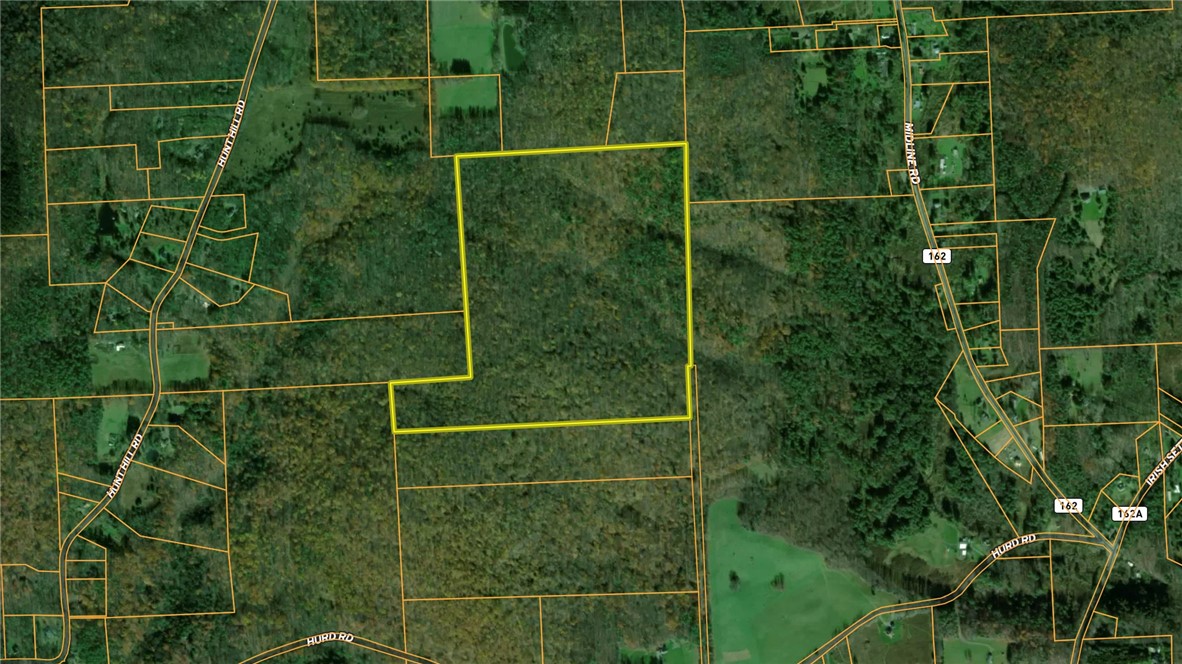 Hollister Road Ithaca, NY 14850 - Photo 21 of 23