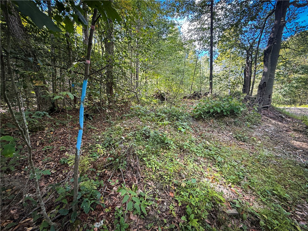 Hollister Road Ithaca, NY 14850 - Photo 3 of 23