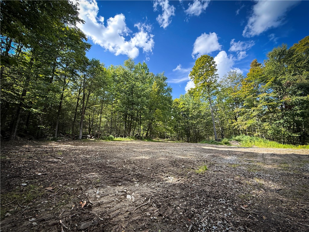 Hollister Road Ithaca, NY 14850 - Photo 4 of 23