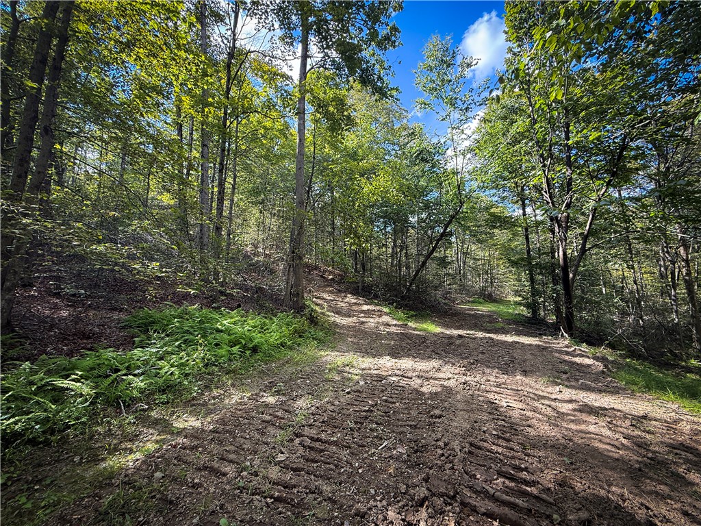 Hollister Road Ithaca, NY 14850 - Photo 5 of 23