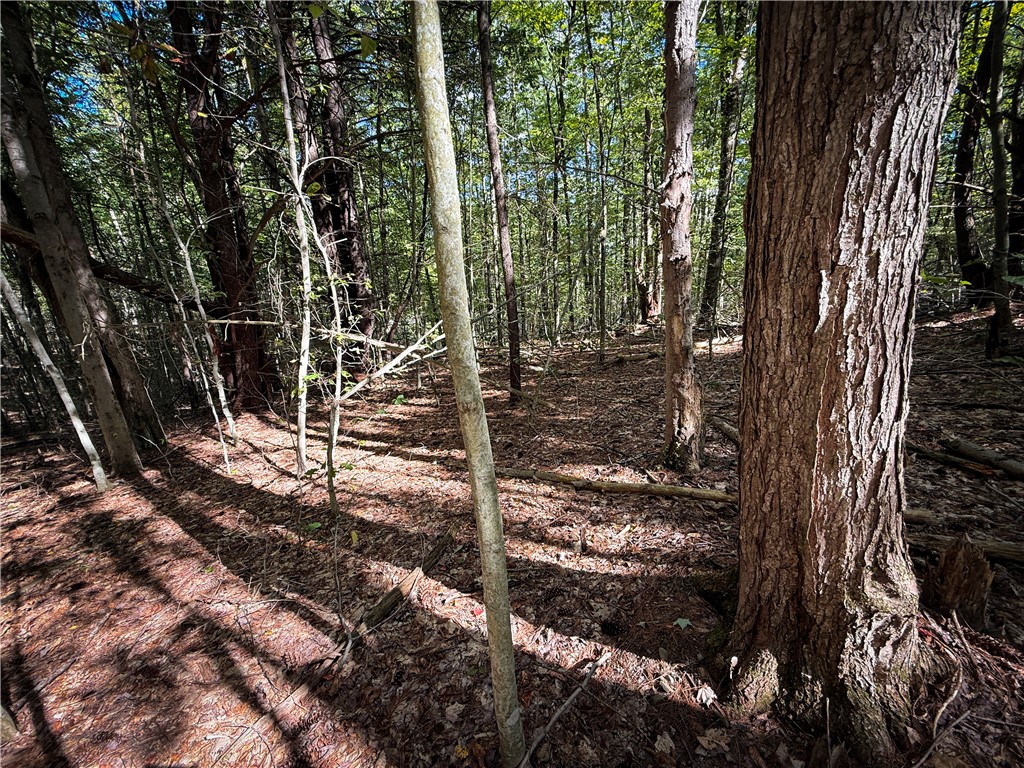 Hollister Road Ithaca, NY 14850 - Photo 8 of 23