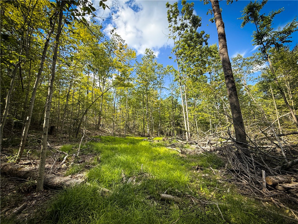 Hollister Road Ithaca, NY 14850 - Photo 9 of 23